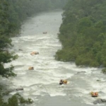 Thumbnail of post image 129