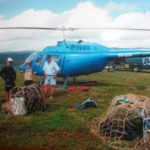 Thumbnail of post image 112