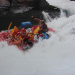 Thumbnail of post image 141