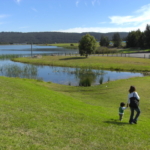 Thumbnail of post image 162