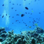 Thumbnail of post image 020