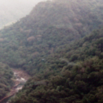 Thumbnail of post image 065