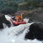 Thumbnail of post image 175