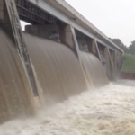 Thumbnail of post image 012